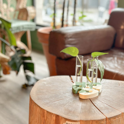 A1 DIY Terrazzo Kaarthouder Kit MONSTERA - Zelfmaak Visitekaarthouder