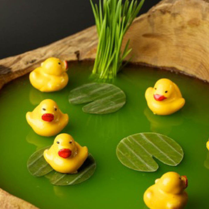 Edible rubber duck