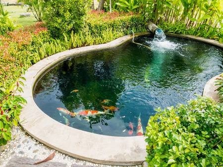 <h4>Make your own pond with polyester</h4>